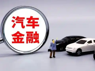 从江押车贷款不是本人可以么?